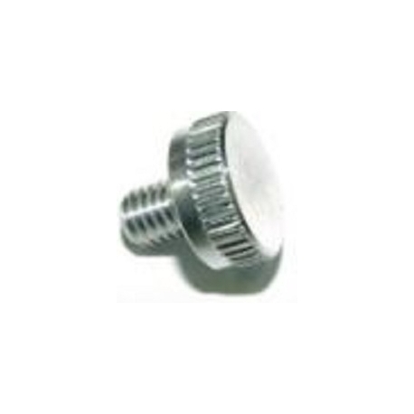 C.A Tornillo Sujecion Brazo 220/250 M6 8mm